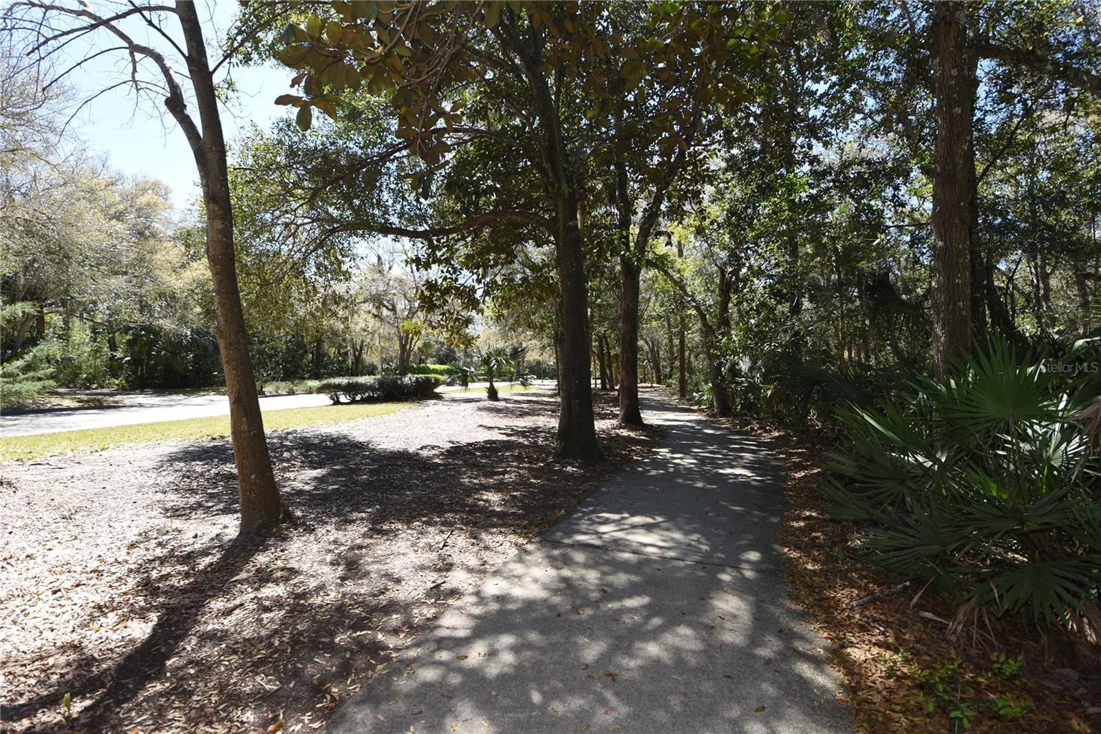 14 WILDWOOD LN, PALM COAST, FL, 32137