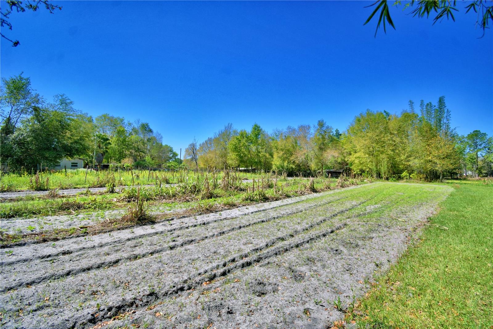 2039 RANCHLAND DR, LAKELAND, FL, 33809