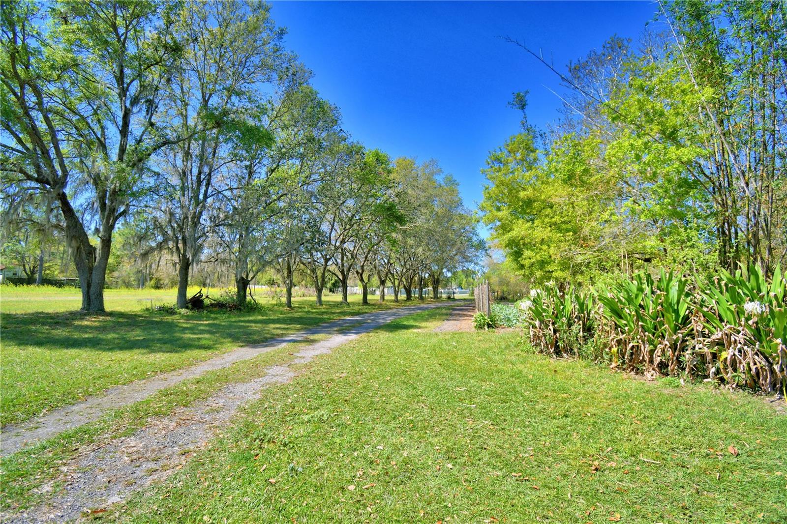 2039 RANCHLAND DR, LAKELAND, FL, 33809