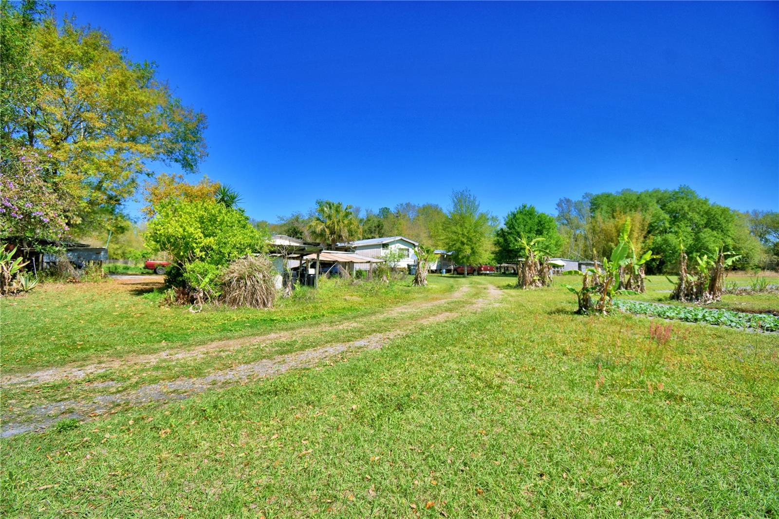 2039 RANCHLAND DR, LAKELAND, FL, 33809