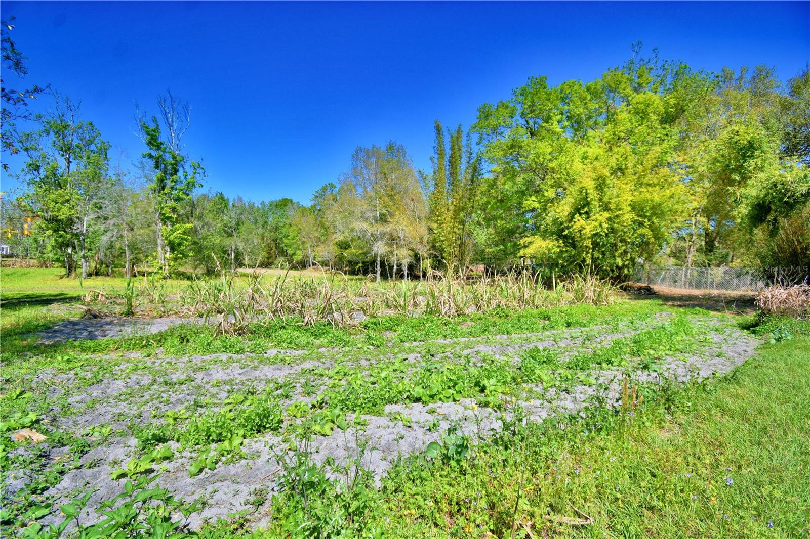 2039 RANCHLAND DR, LAKELAND, FL, 33809