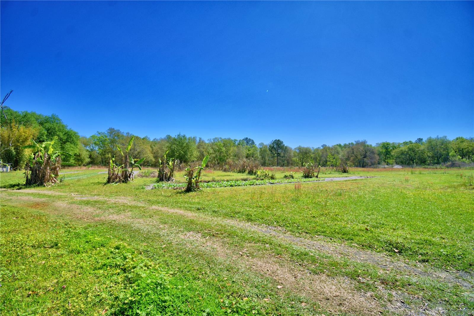 2039 RANCHLAND DR, LAKELAND, FL, 33809