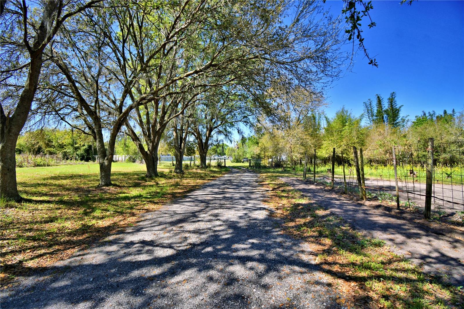 2039 RANCHLAND DR, LAKELAND, FL, 33809