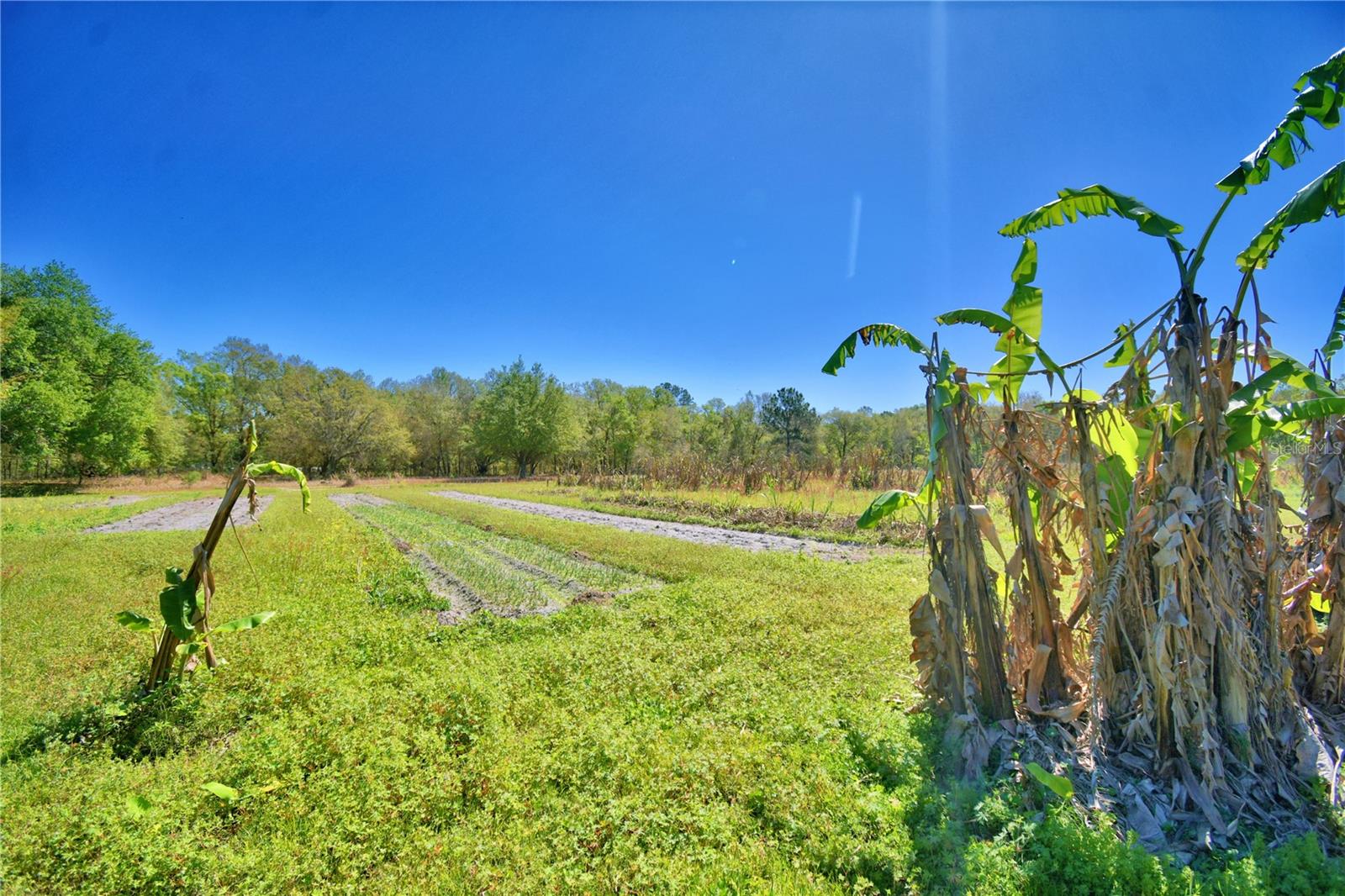 2039 RANCHLAND DR, LAKELAND, FL, 33809