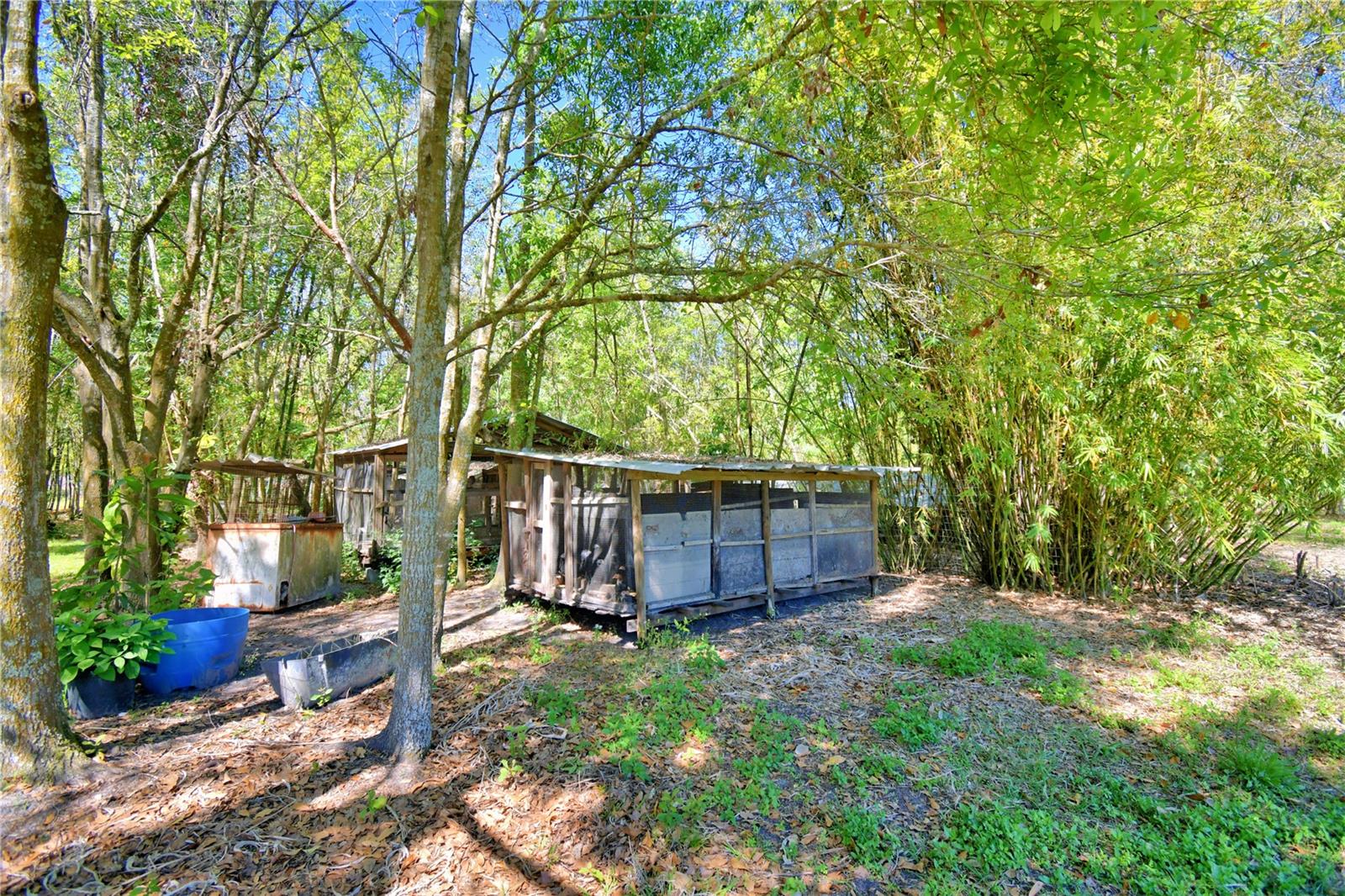 2039 RANCHLAND DR, LAKELAND, FL, 33809