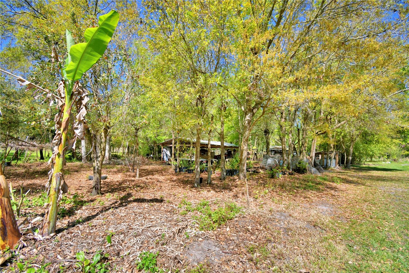 2039 RANCHLAND DR, LAKELAND, FL, 33809