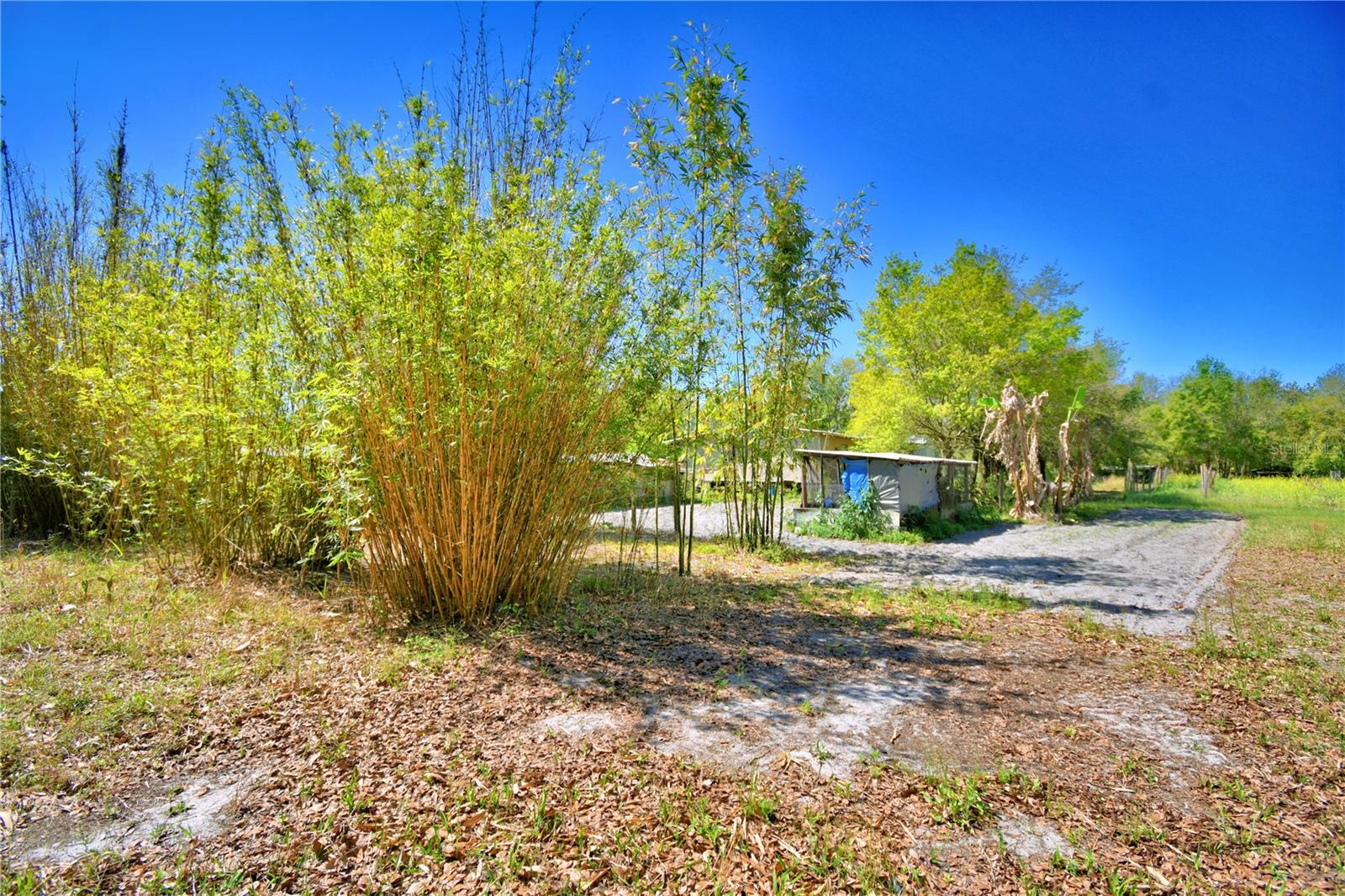 2039 RANCHLAND DR, LAKELAND, FL, 33809