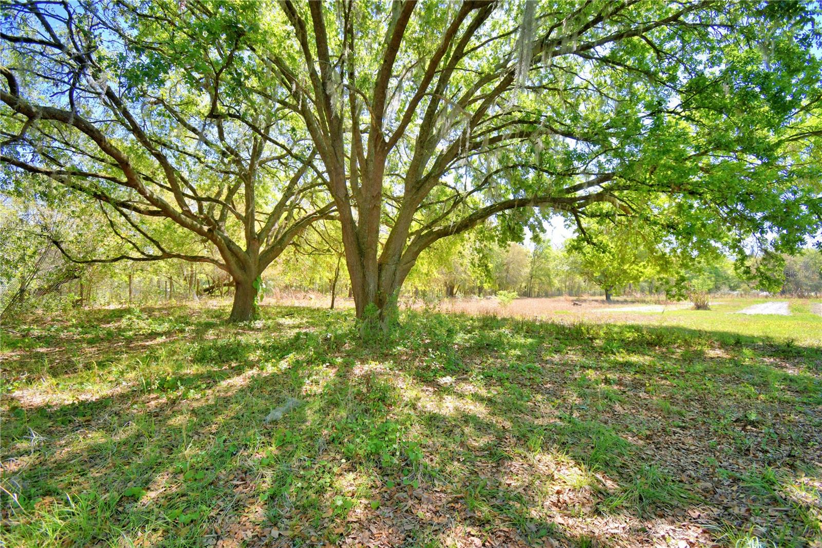2039 RANCHLAND DR, LAKELAND, FL, 33809