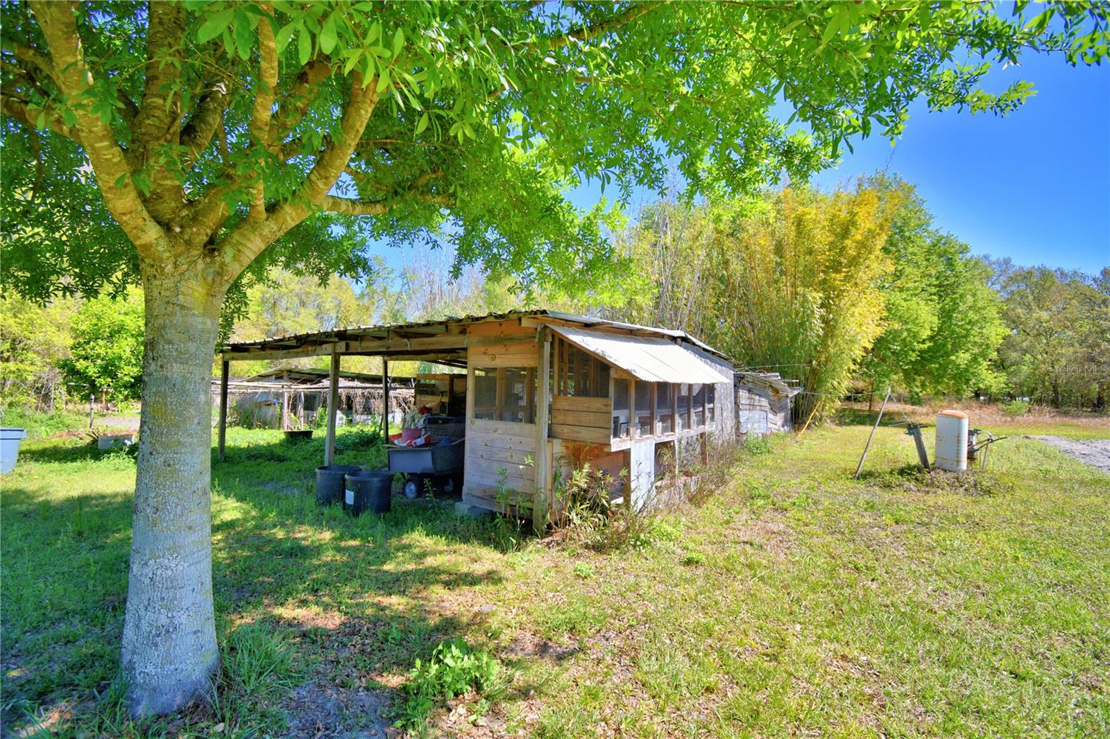 2039 RANCHLAND DR, LAKELAND, FL, 33809