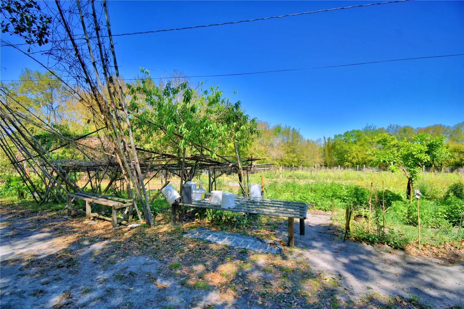 2039 RANCHLAND DR, LAKELAND, FL, 33809