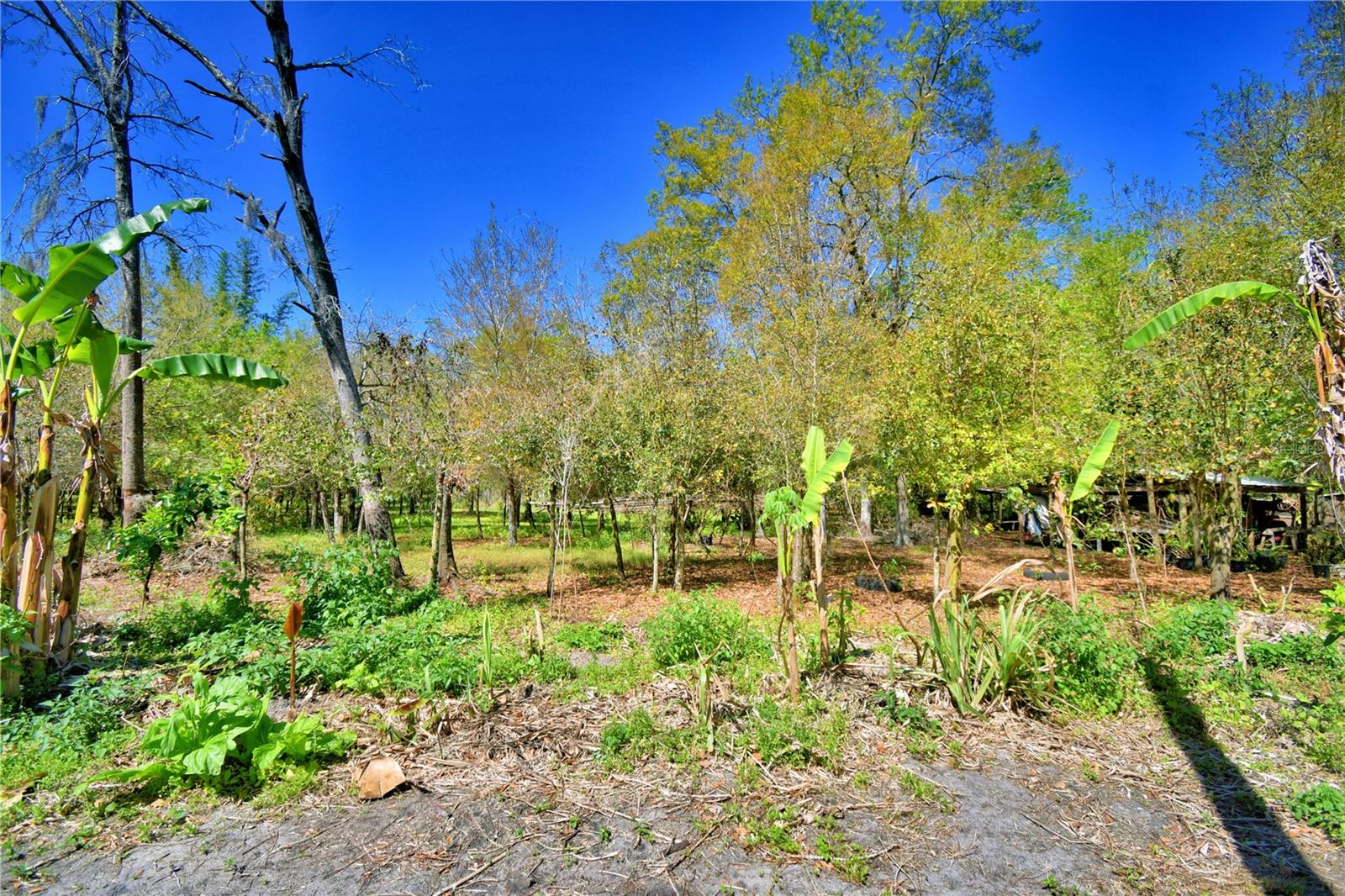 2039 RANCHLAND DR, LAKELAND, FL, 33809