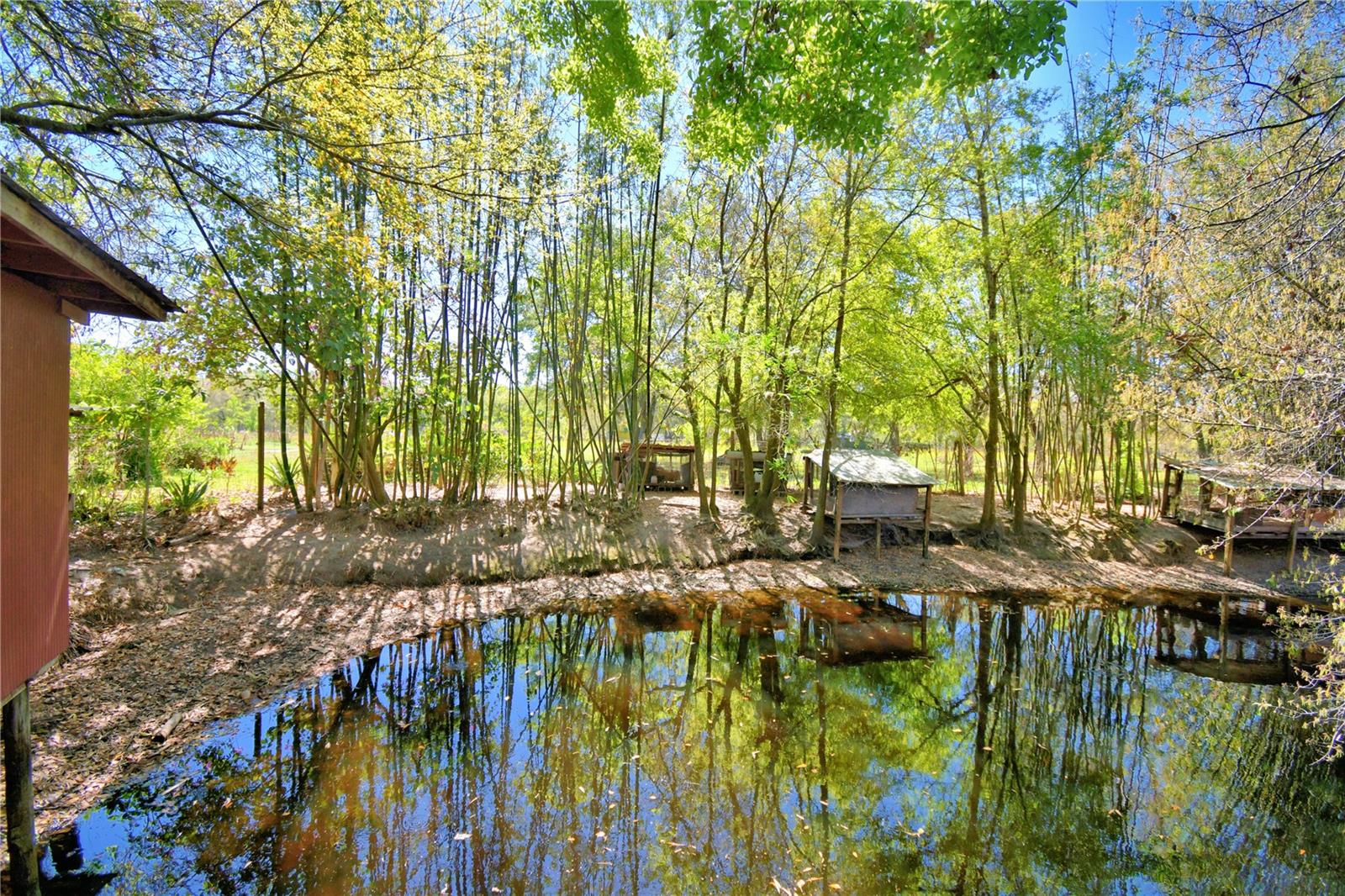 2039 RANCHLAND DR, LAKELAND, FL, 33809