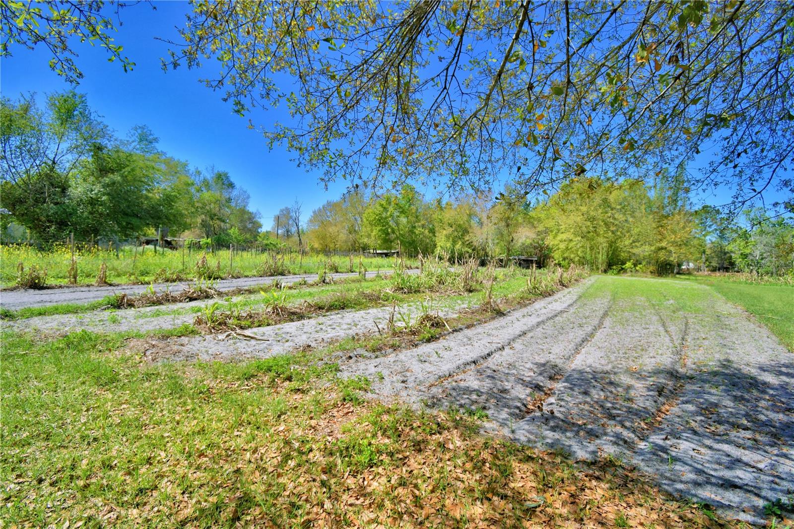 2039 RANCHLAND DR, LAKELAND, FL, 33809