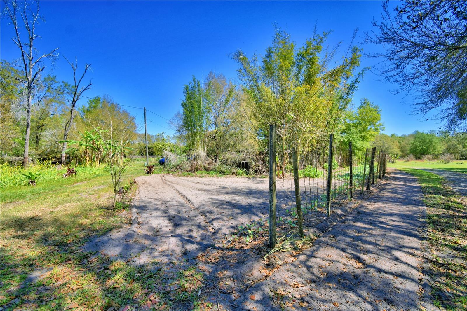 2039 RANCHLAND DR, LAKELAND, FL, 33809