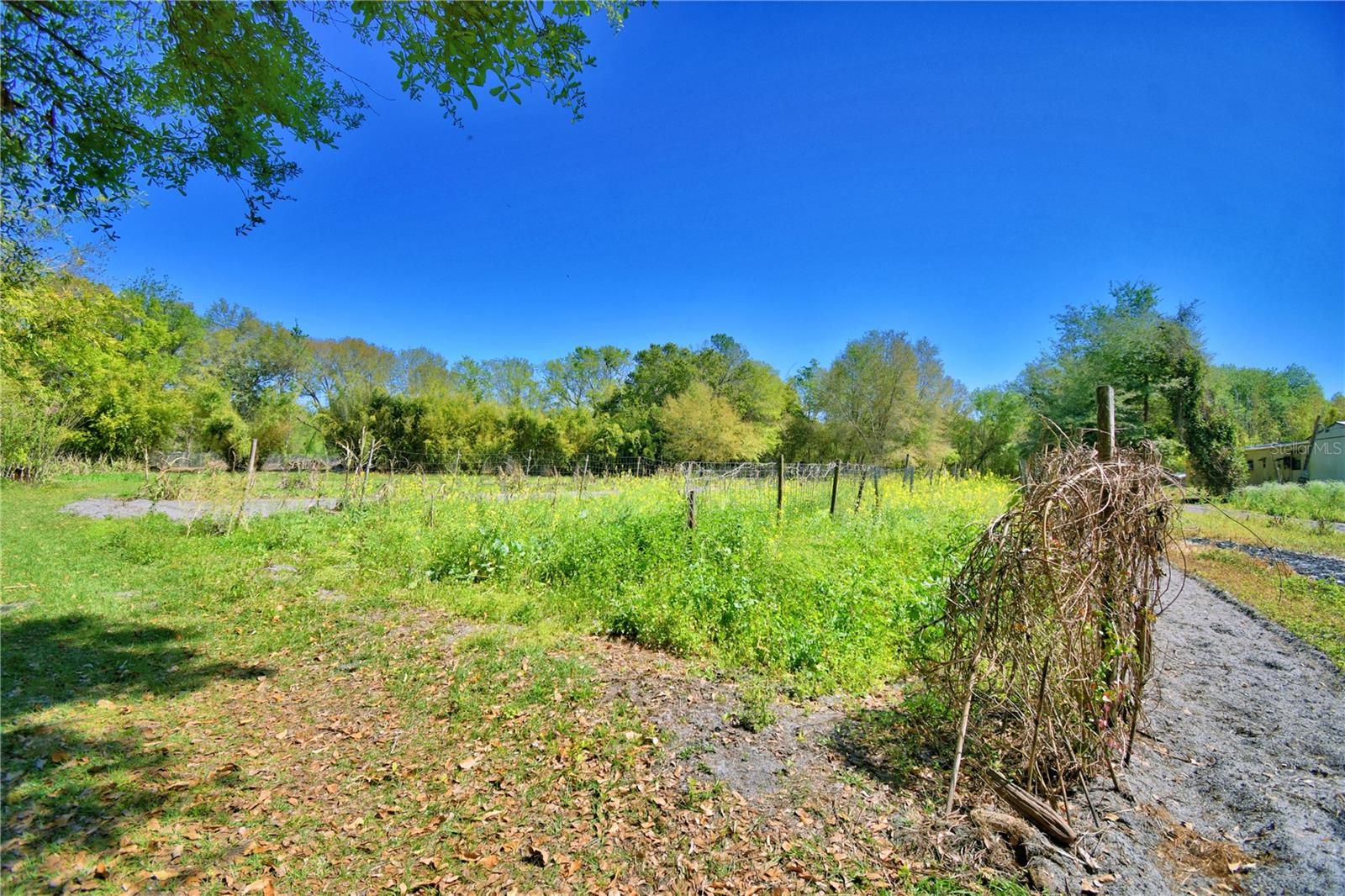 2039 RANCHLAND DR, LAKELAND, FL, 33809