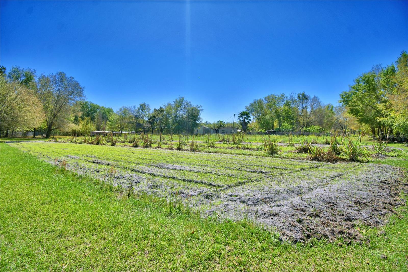 2039 RANCHLAND DR, LAKELAND, FL, 33809
