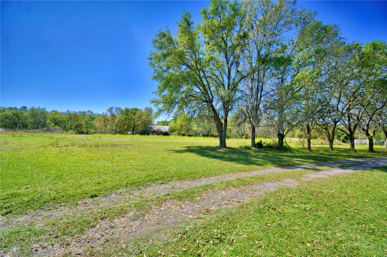 2039 RANCHLAND DR, LAKELAND, FL, 33809
