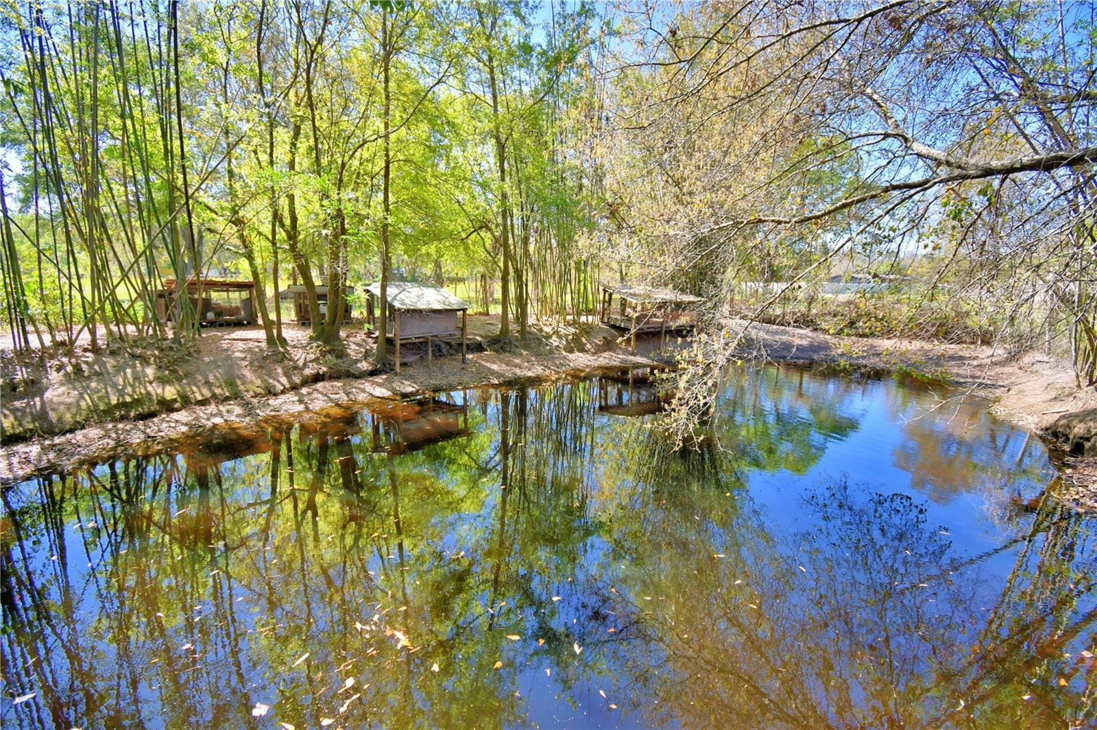 2039 RANCHLAND DR, LAKELAND, FL, 33809