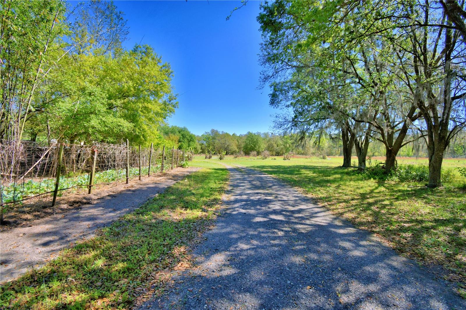 2039 RANCHLAND DR, LAKELAND, FL, 33809
