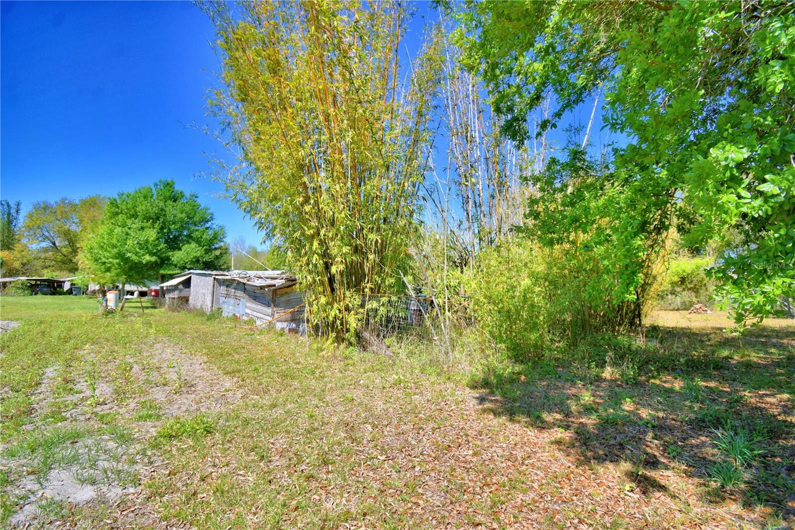 2039 RANCHLAND DR, LAKELAND, FL, 33809