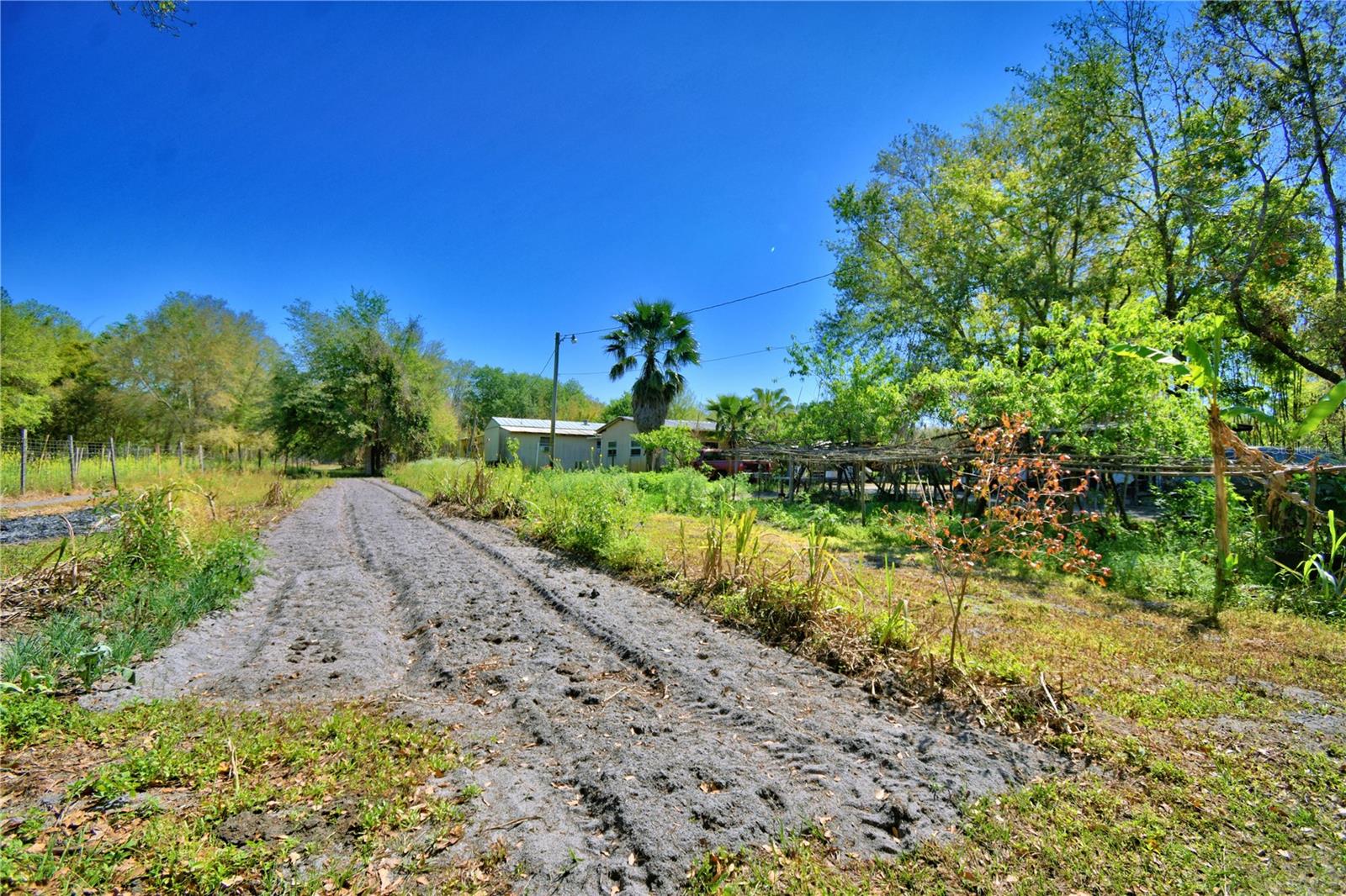 2039 RANCHLAND DR, LAKELAND, FL, 33809