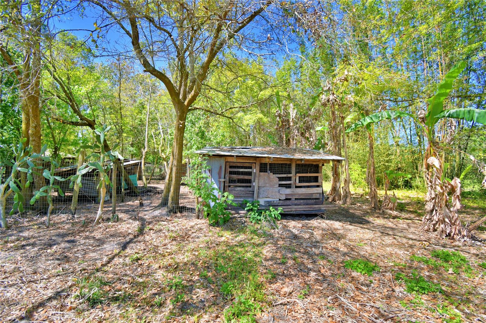 2039 RANCHLAND DR, LAKELAND, FL, 33809