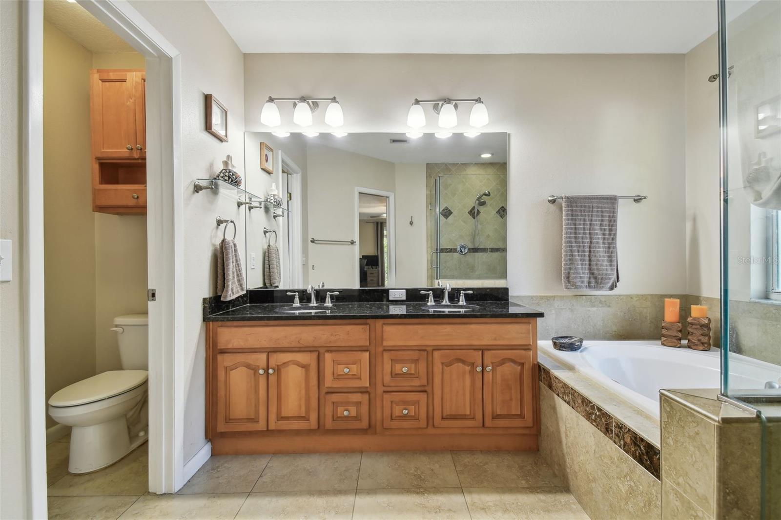 18846 TRACER DR, LUTZ, FL, 33549