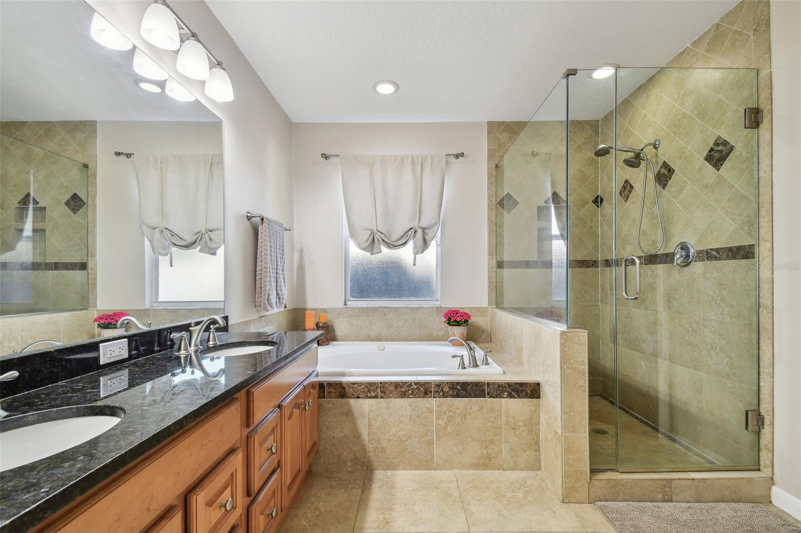 18846 TRACER DR, LUTZ, FL, 33549