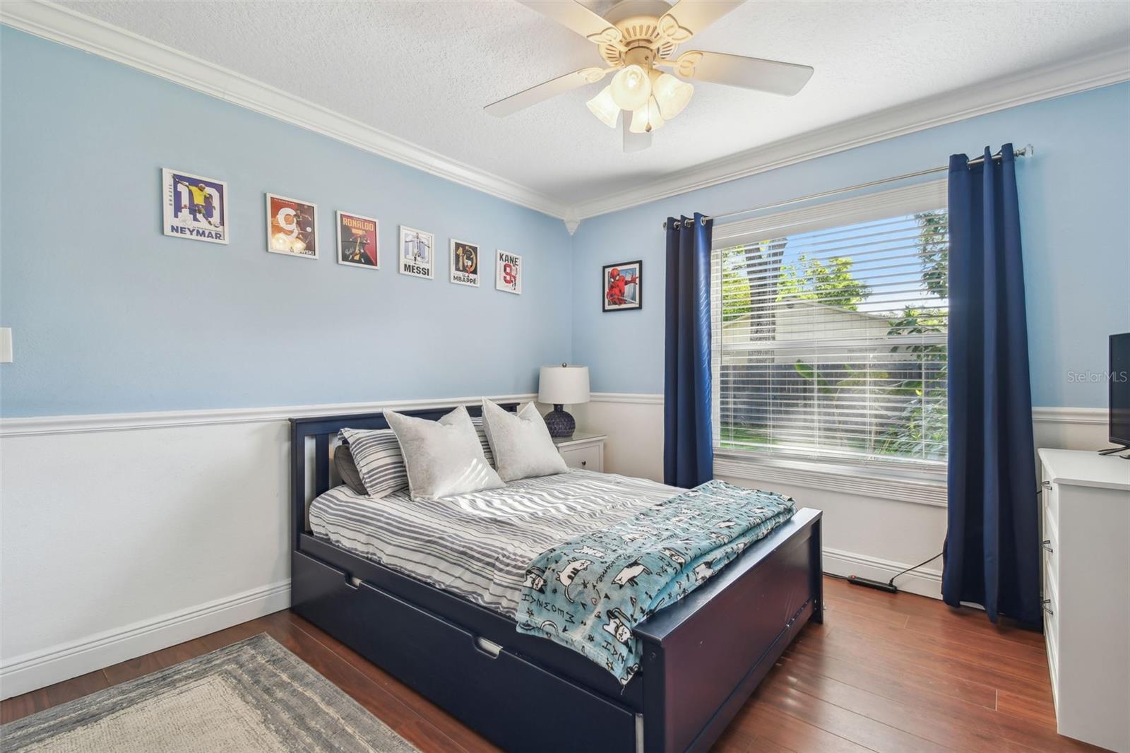 18846 TRACER DR, LUTZ, FL, 33549