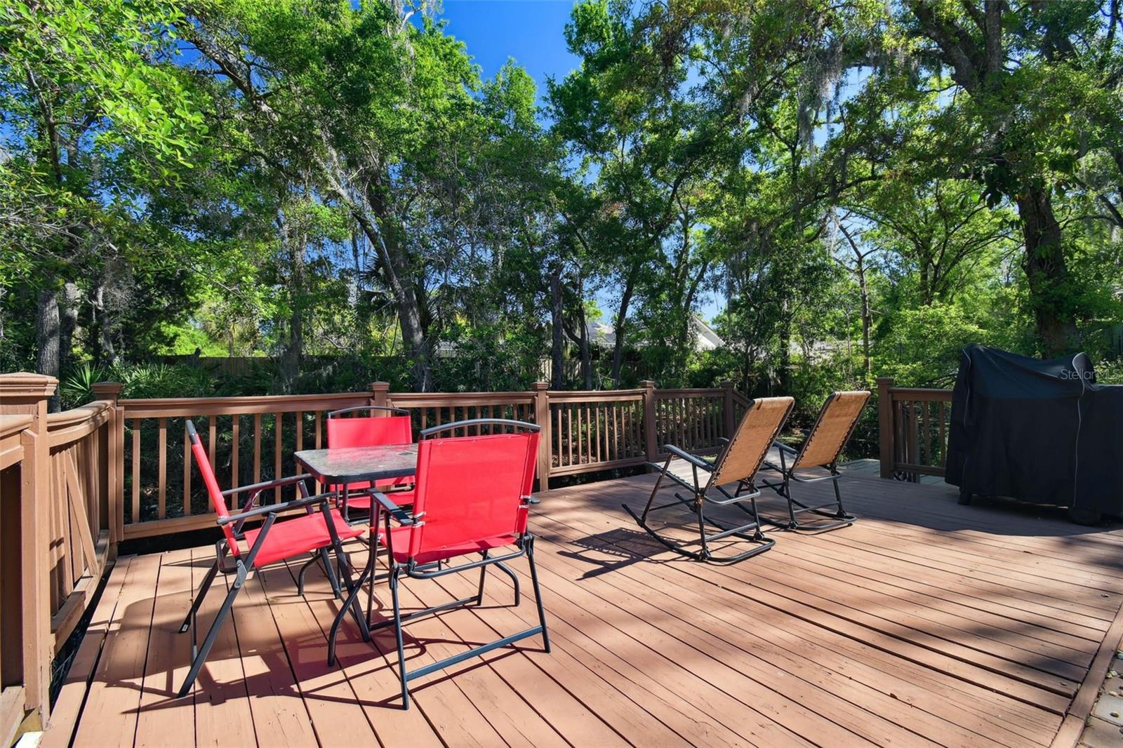 18846 TRACER DR, LUTZ, FL, 33549