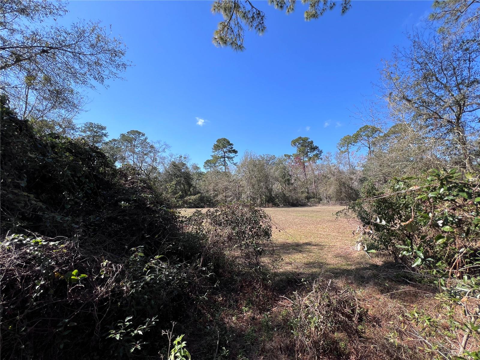 2618 NE 10TH TER, GAINESVILLE, FL, 32609