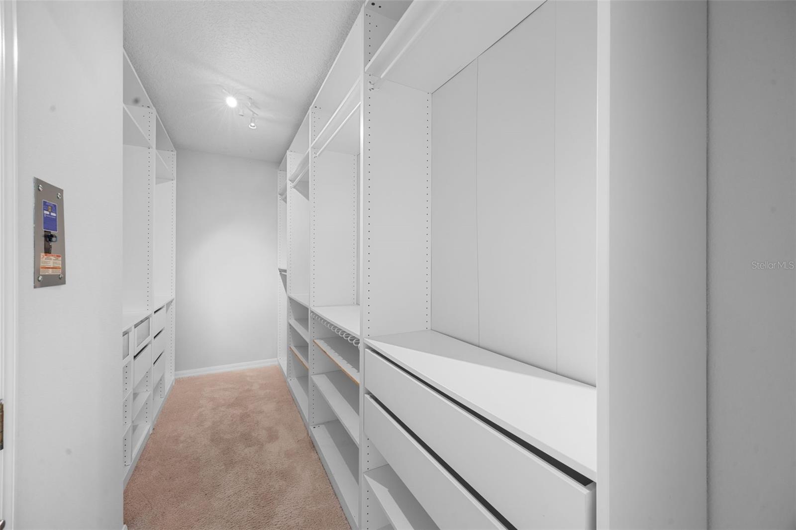 2204 HAMMOCK MOSS DR, ORLANDO, FL, 32820