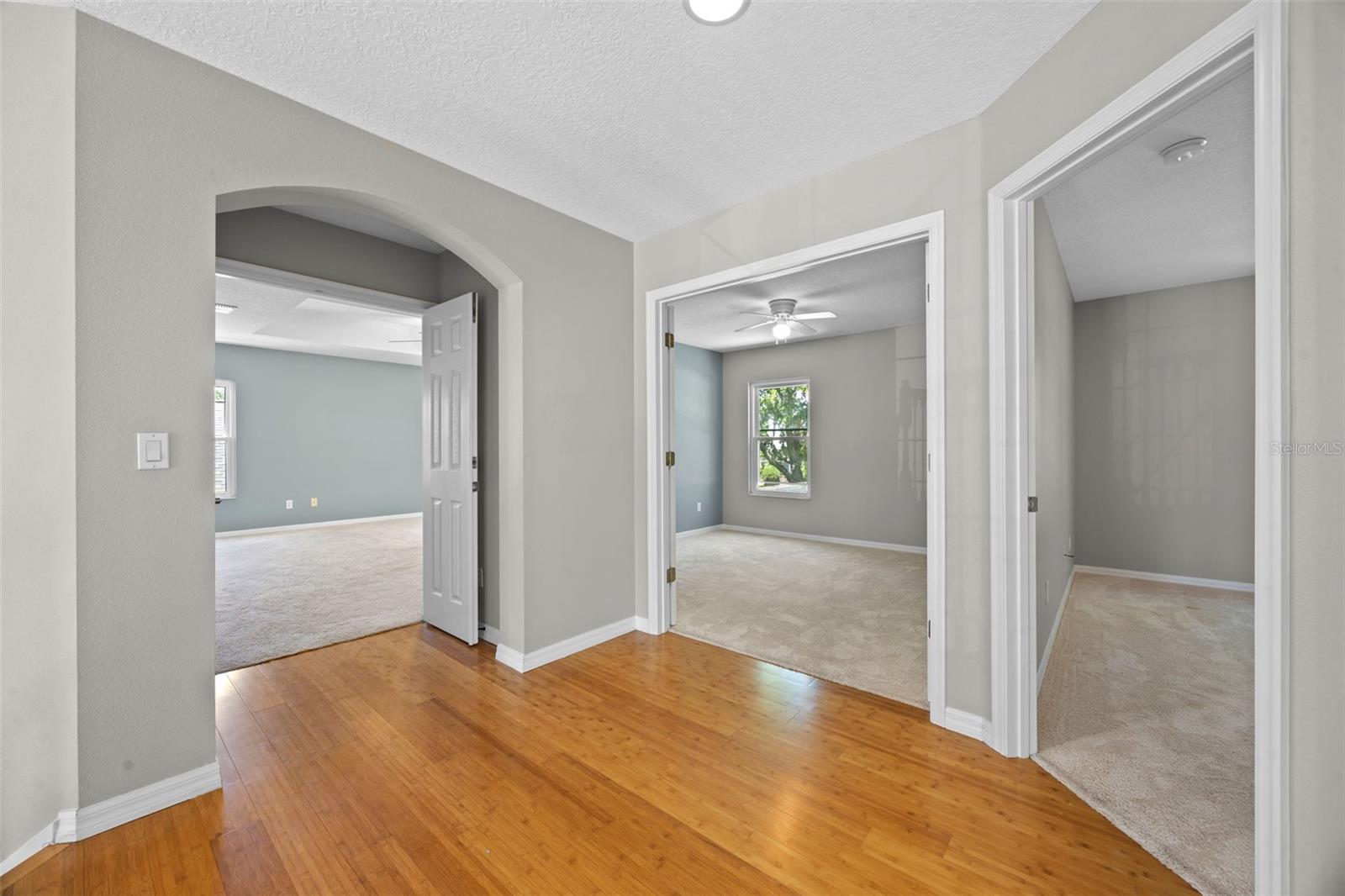 2204 HAMMOCK MOSS DR, ORLANDO, FL, 32820