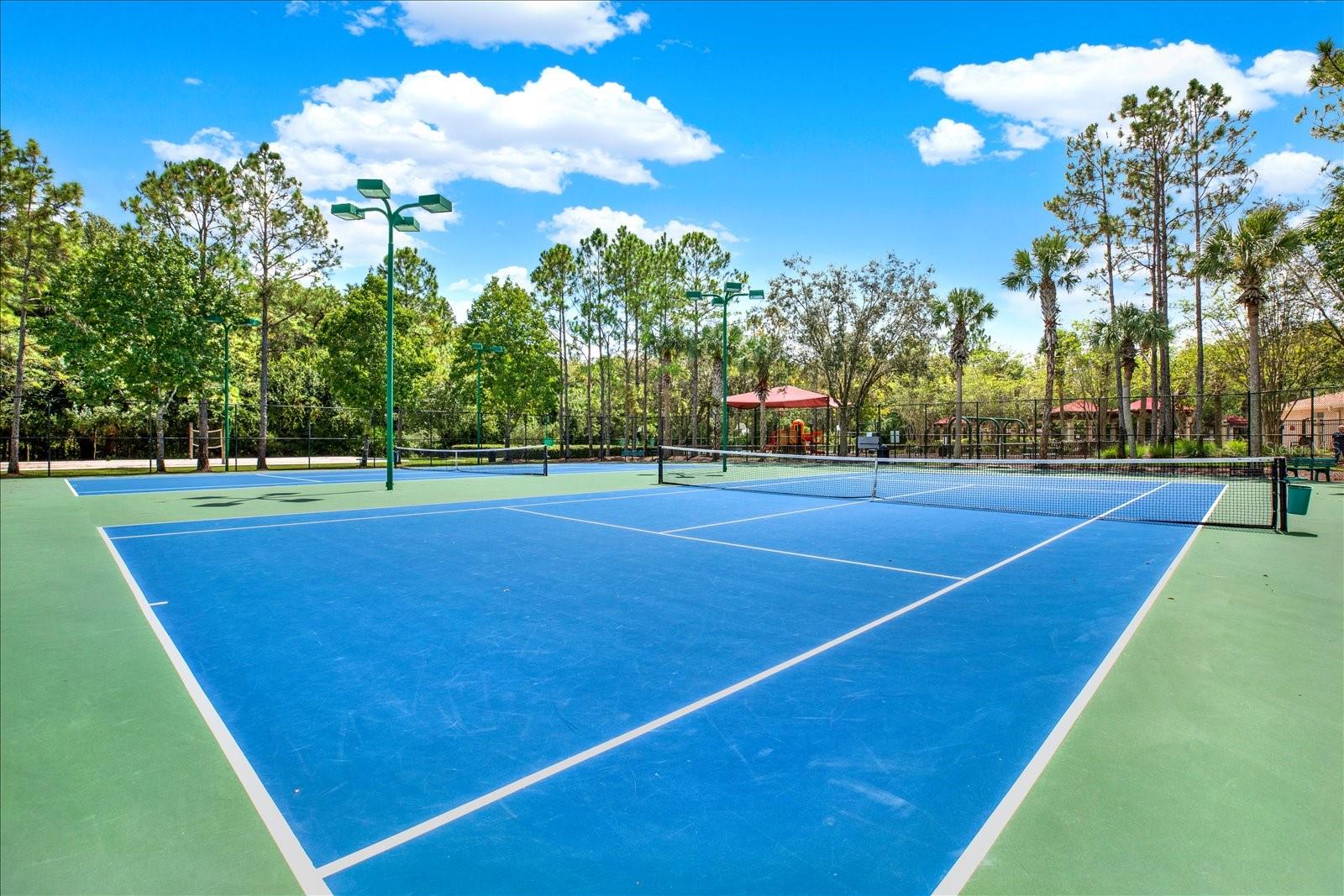 31833 TURKEYHILL DR, WESLEY CHAPEL, FL, 33543