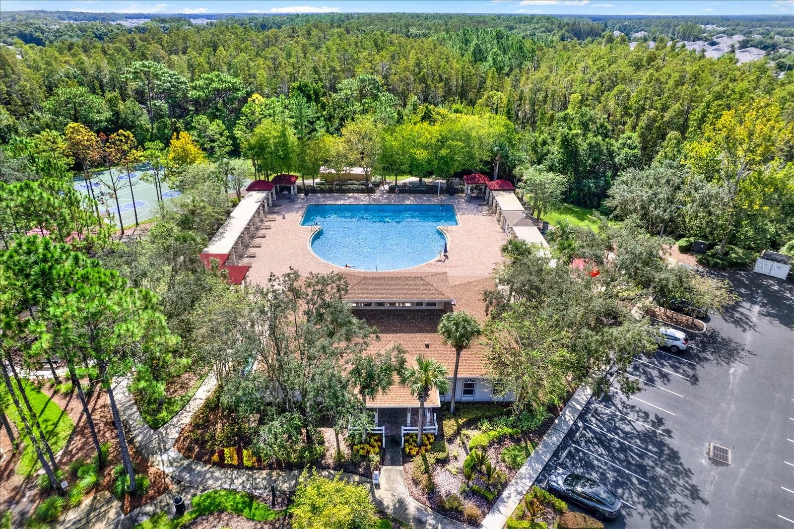 31833 TURKEYHILL DR, WESLEY CHAPEL, FL, 33543