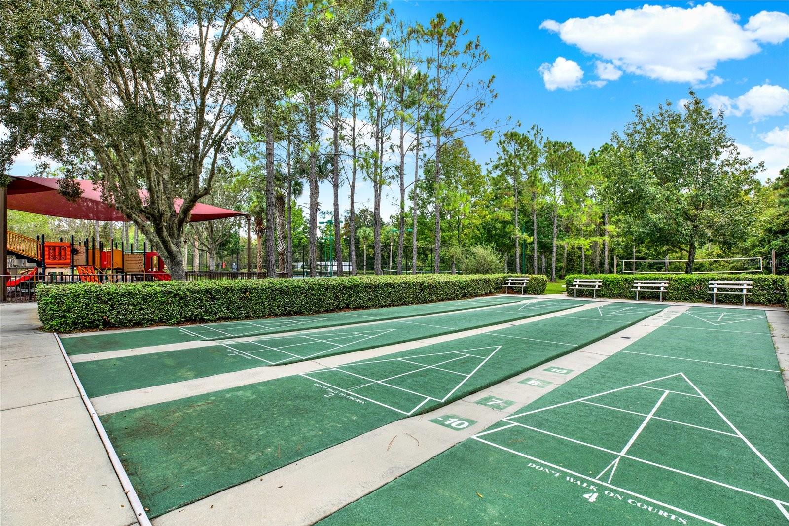 31833 TURKEYHILL DR, WESLEY CHAPEL, FL, 33543