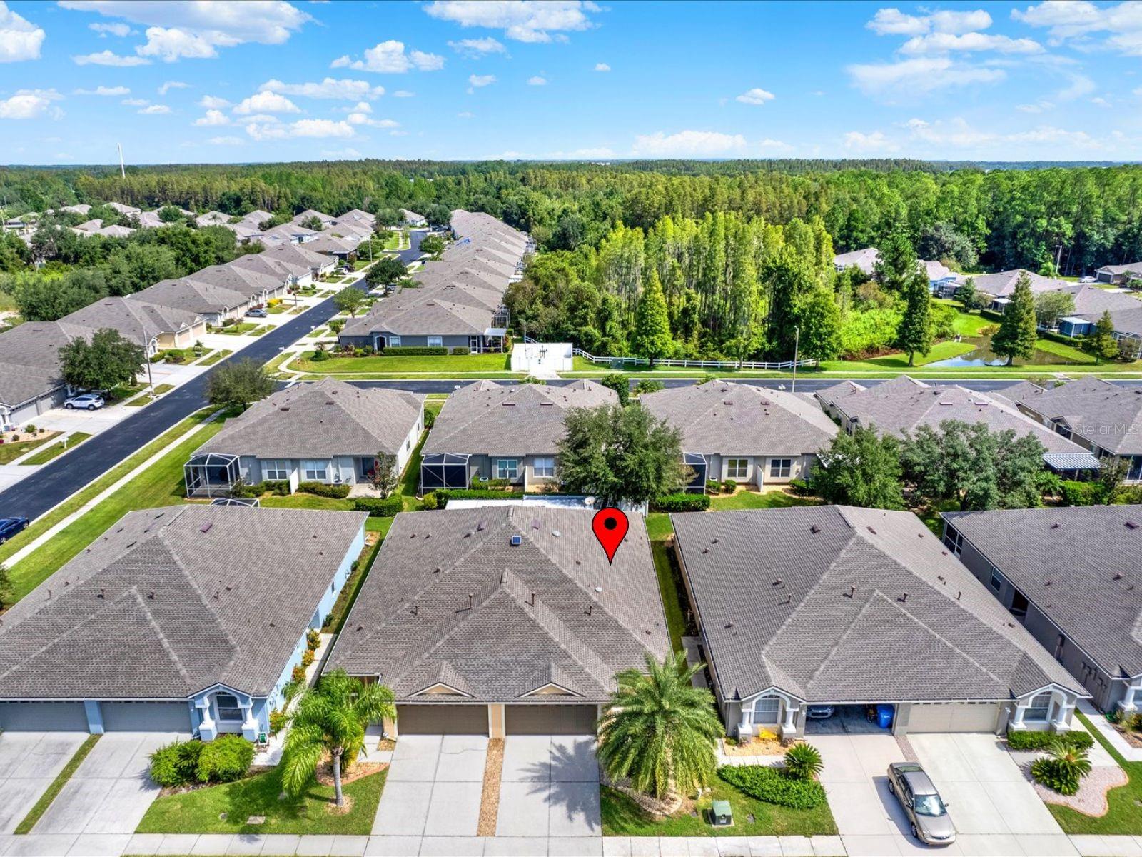 31833 TURKEYHILL DR, WESLEY CHAPEL, FL, 33543