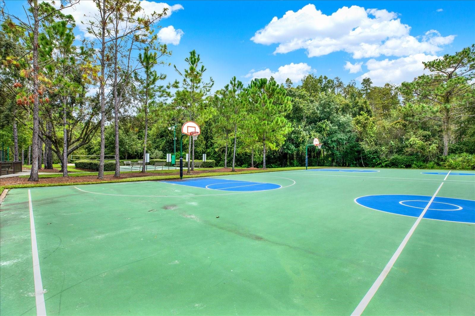 31833 TURKEYHILL DR, WESLEY CHAPEL, FL, 33543