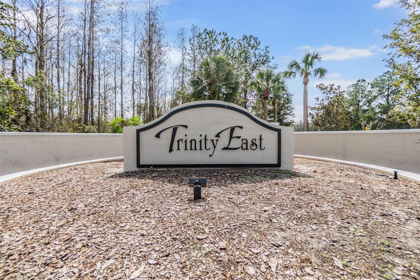 1017 KETZAL DR, TRINITY, FL, 34655