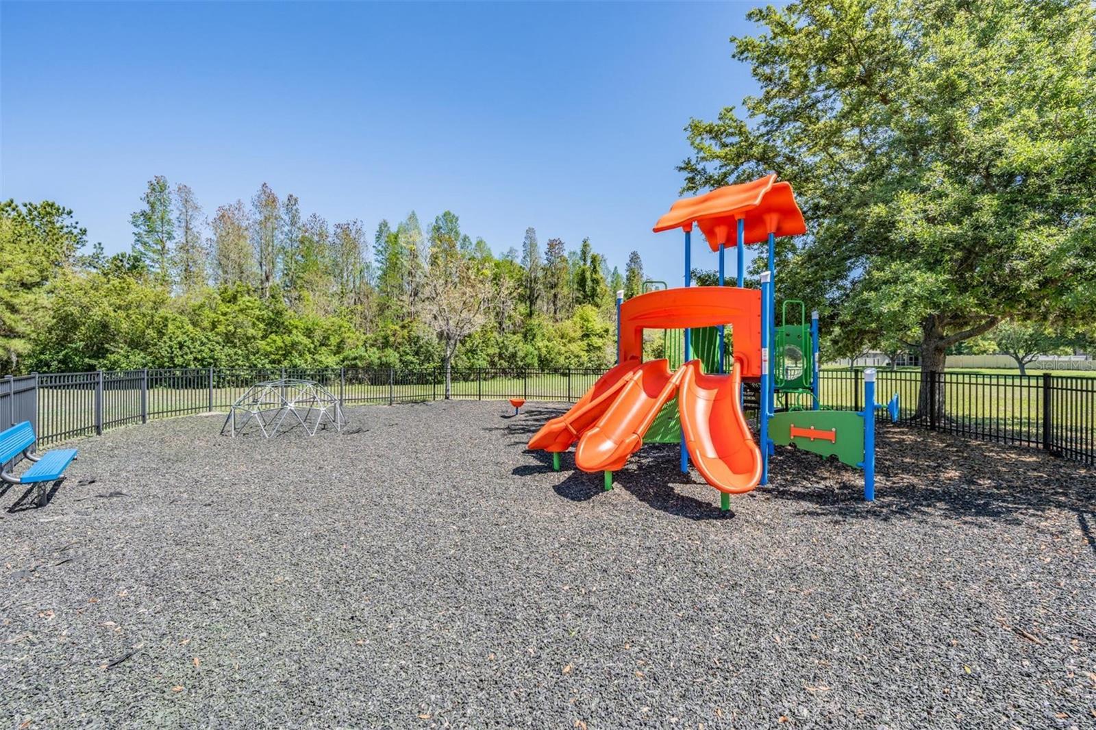 1017 KETZAL DR, TRINITY, FL, 34655