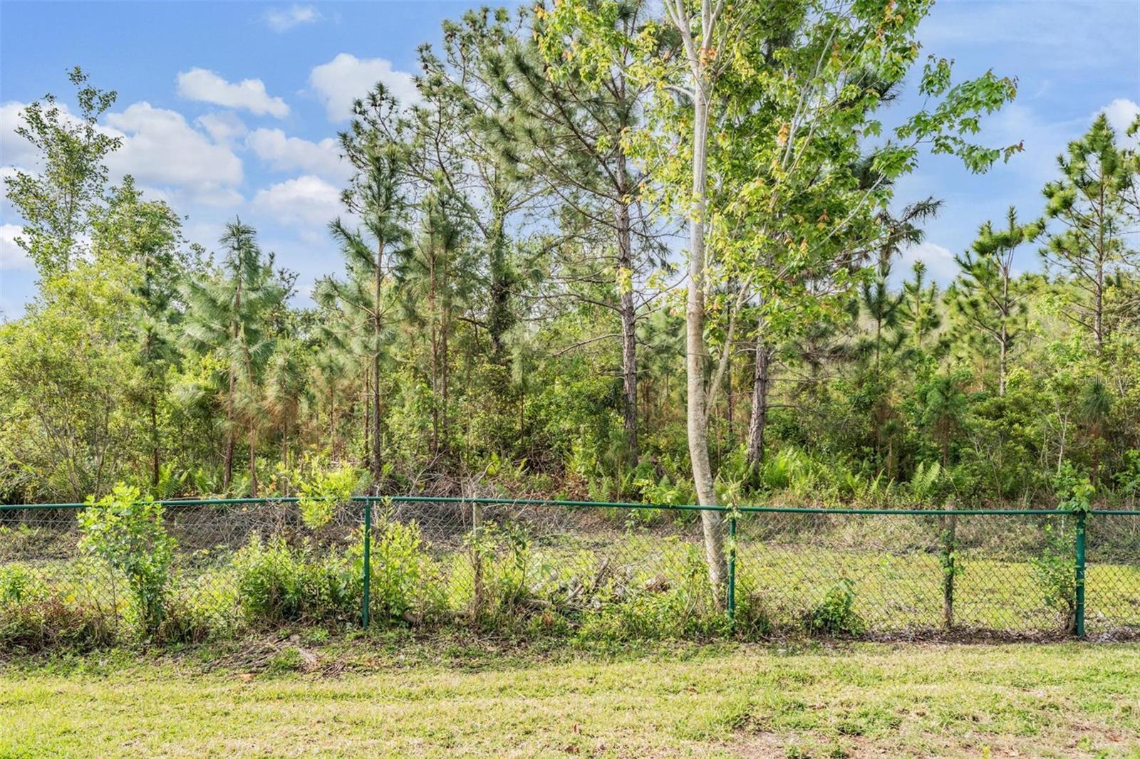 1017 KETZAL DR, TRINITY, FL, 34655