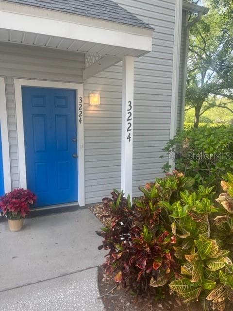 3224 VALLEY OAKS DR, TAMPA, FL, 33618