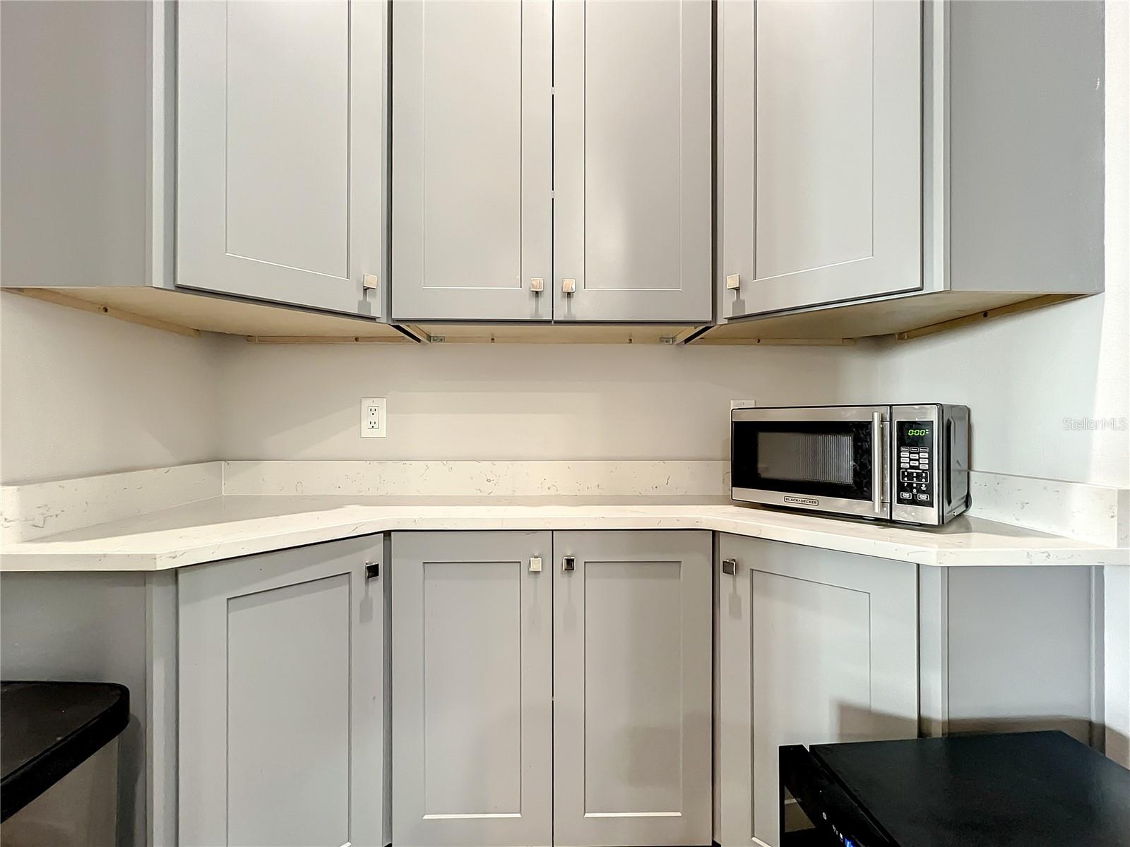 1621 ASHER LN, ORLANDO, FL, 32803