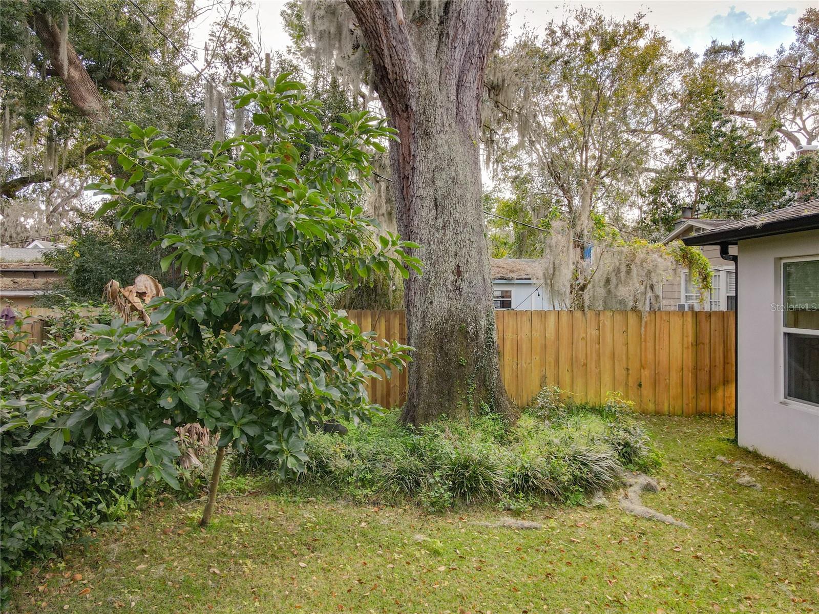 1621 ASHER LN, ORLANDO, FL, 32803