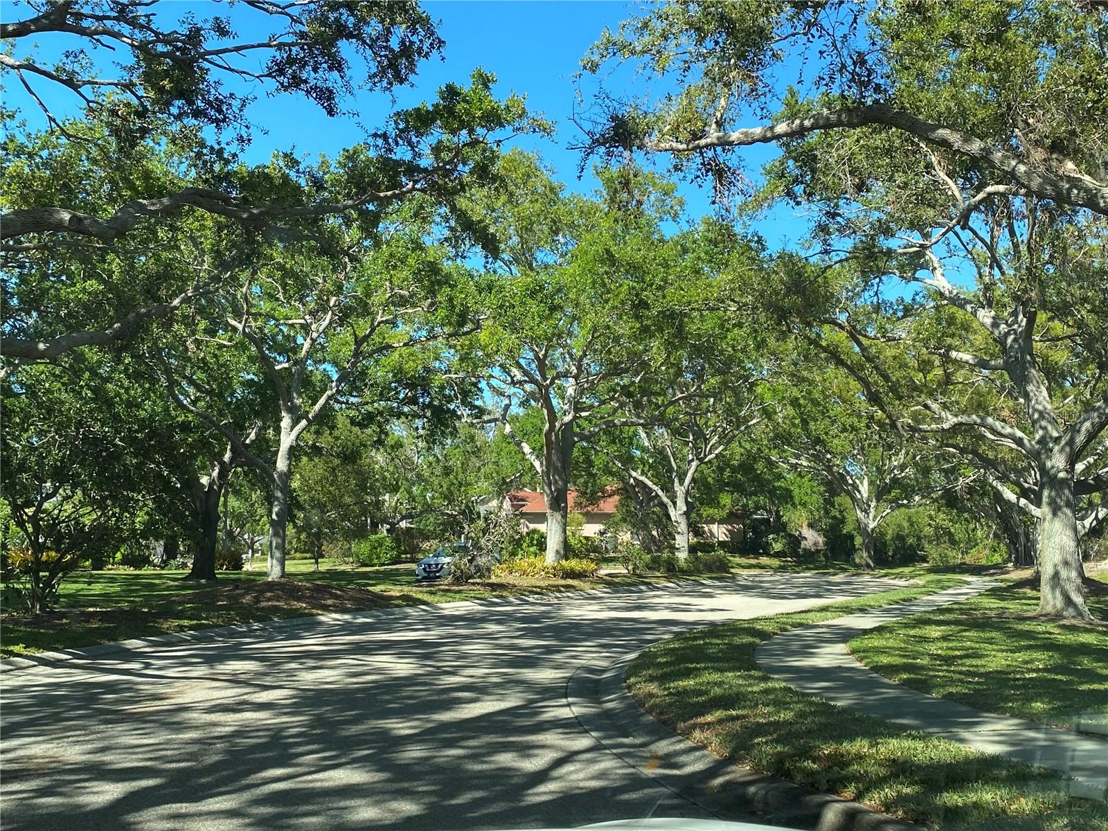 1110 93RD ST NW, BRADENTON, FL, 34209