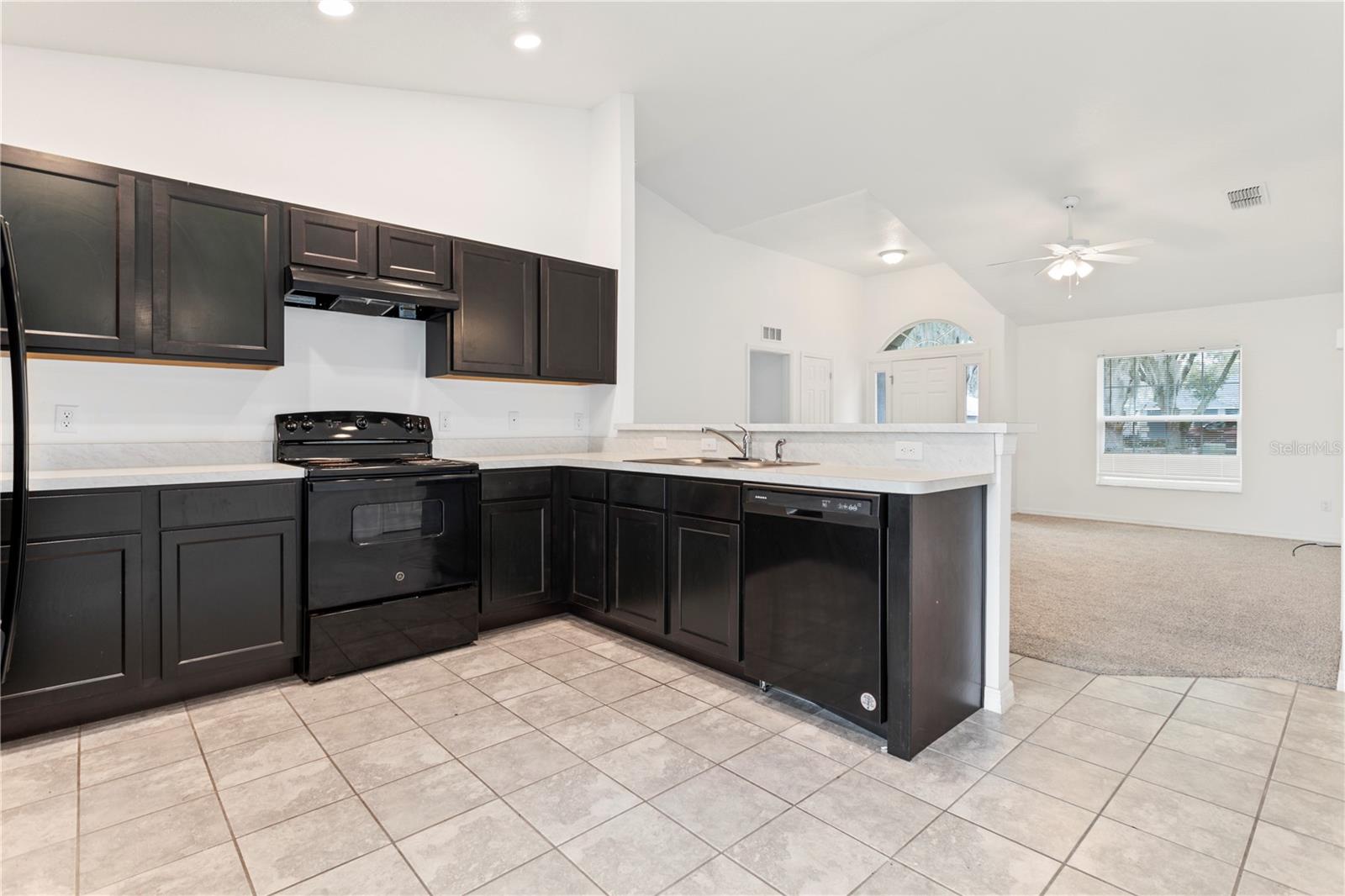 205 LORI CT, UMATILLA, FL, 32784