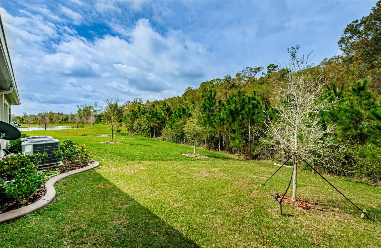 16715 SHELL BAY DR, LAND O LAKES, FL, 34638