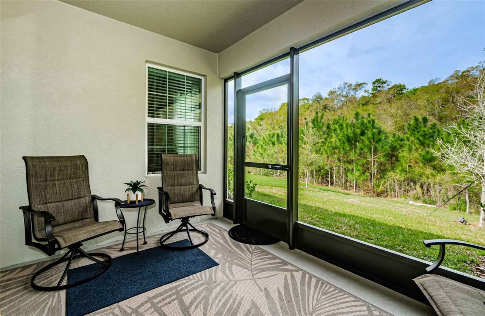 16715 SHELL BAY DR, LAND O LAKES, FL, 34638