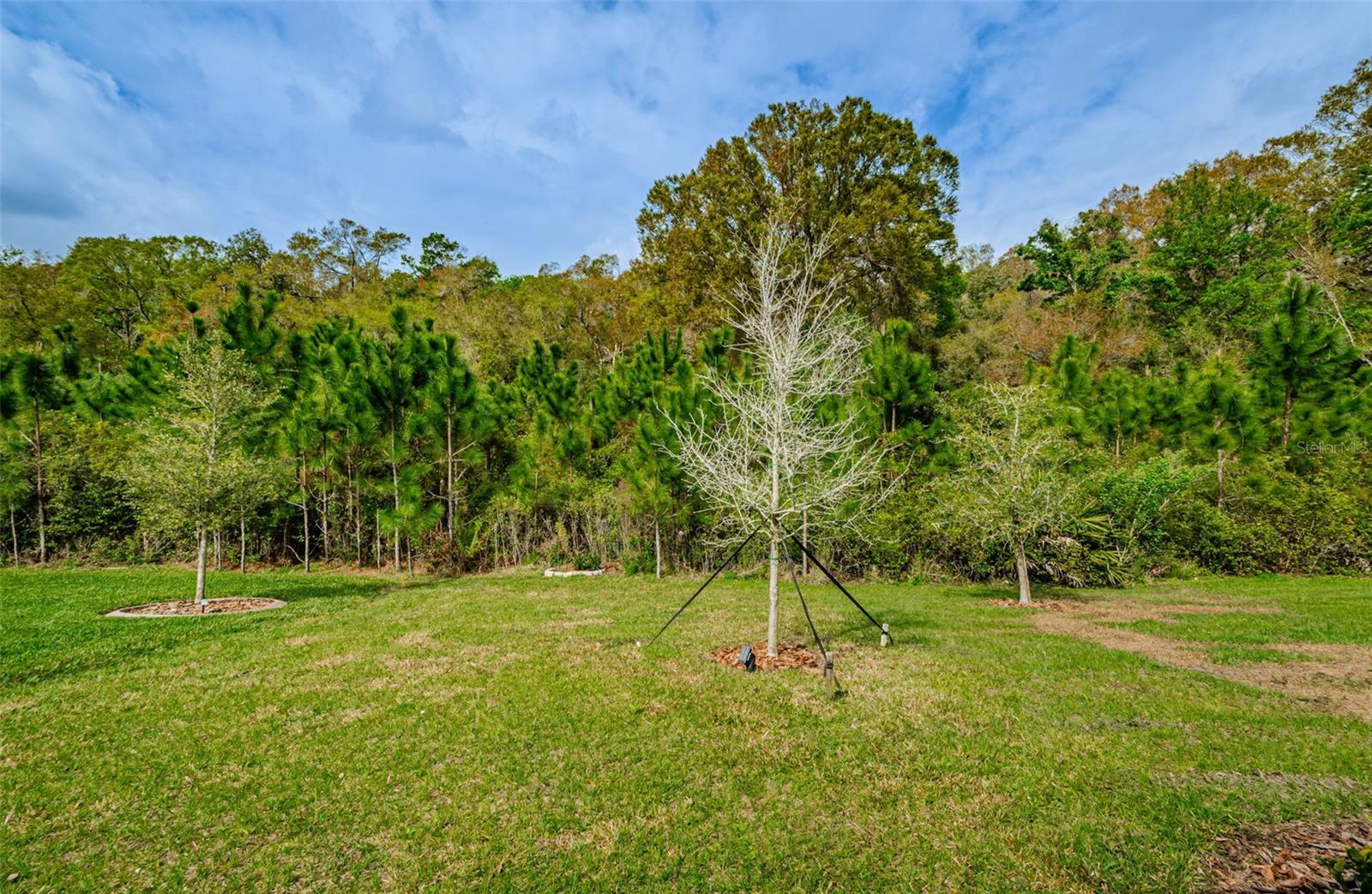 16715 SHELL BAY DR, LAND O LAKES, FL, 34638