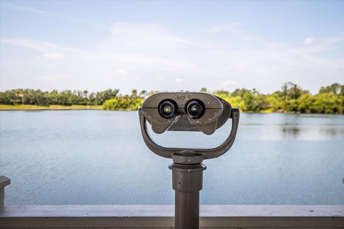 11790 FENNEMORE WAY, PARRISH, FL, 34219